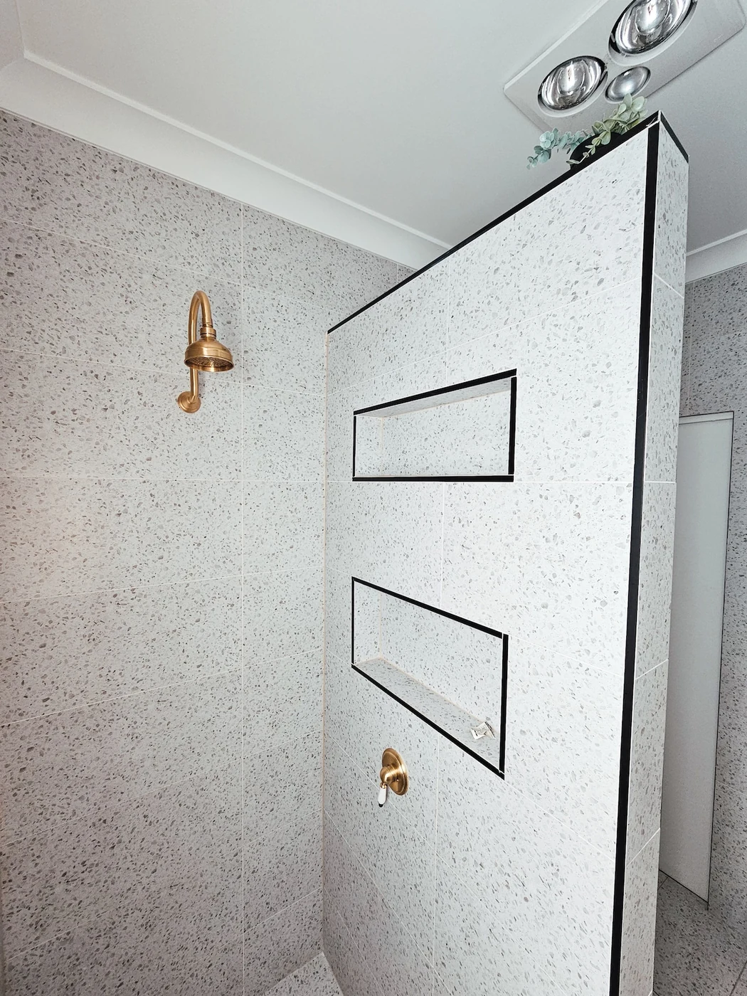 Shower niche and brass shower fitting